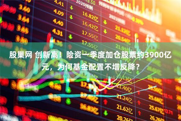股巢网 创新高！险资一季度加仓股票约3900亿元，为何基金配置不增反降？